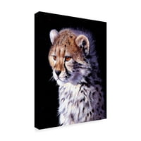 Трговска марка ликовна уметност „Cheetah Cub“ платно уметност од Пип Мекгари