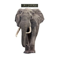 Слонот на татхед - X -големи животни што може да се отстрандат од wallидот