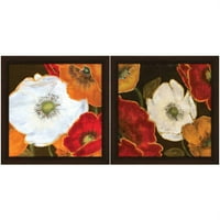 Убави афиони цветни wallидни уметности, сет од 2
