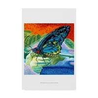 Трговска марка ликовна уметност „подготвена пеперутка II“ платно уметност од Кероле Виталети